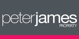 agent-logo