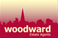 agent-logo
